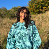 Dora collegepata